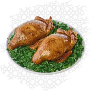 الدجاج و الطيور